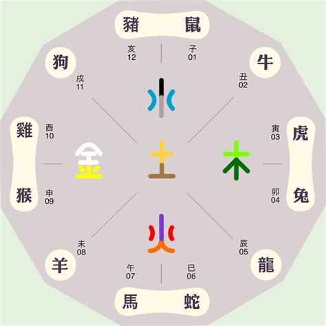 12生肖地支